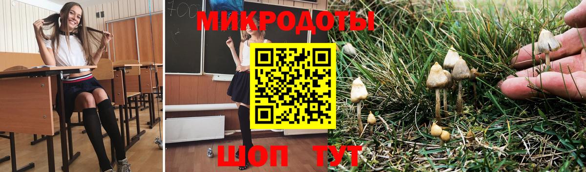 Галлюциногенные грибы мицелий Карталы